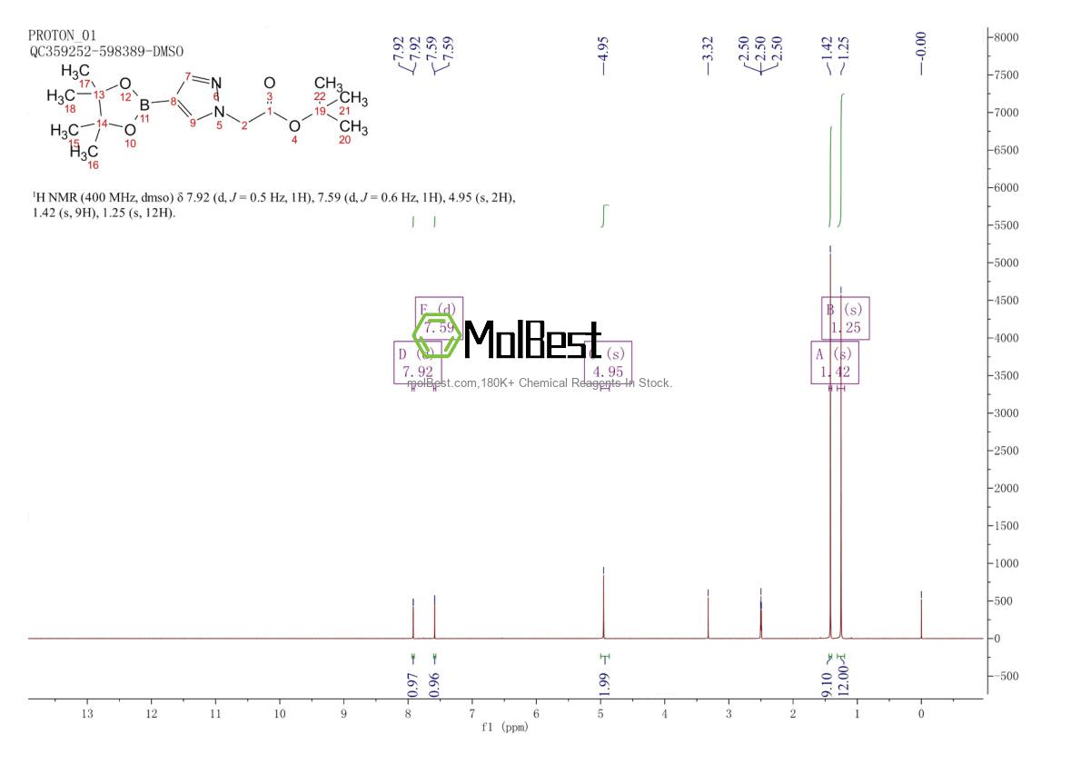 Physical sample testing spectrum (NMR) of 1006875-83-7