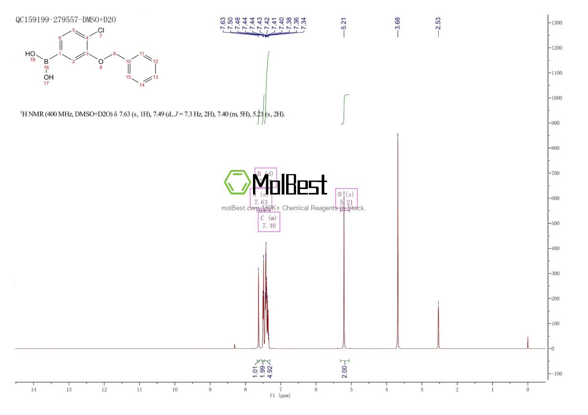 Physical sample testing spectrum (NMR) of 1007170-24-2