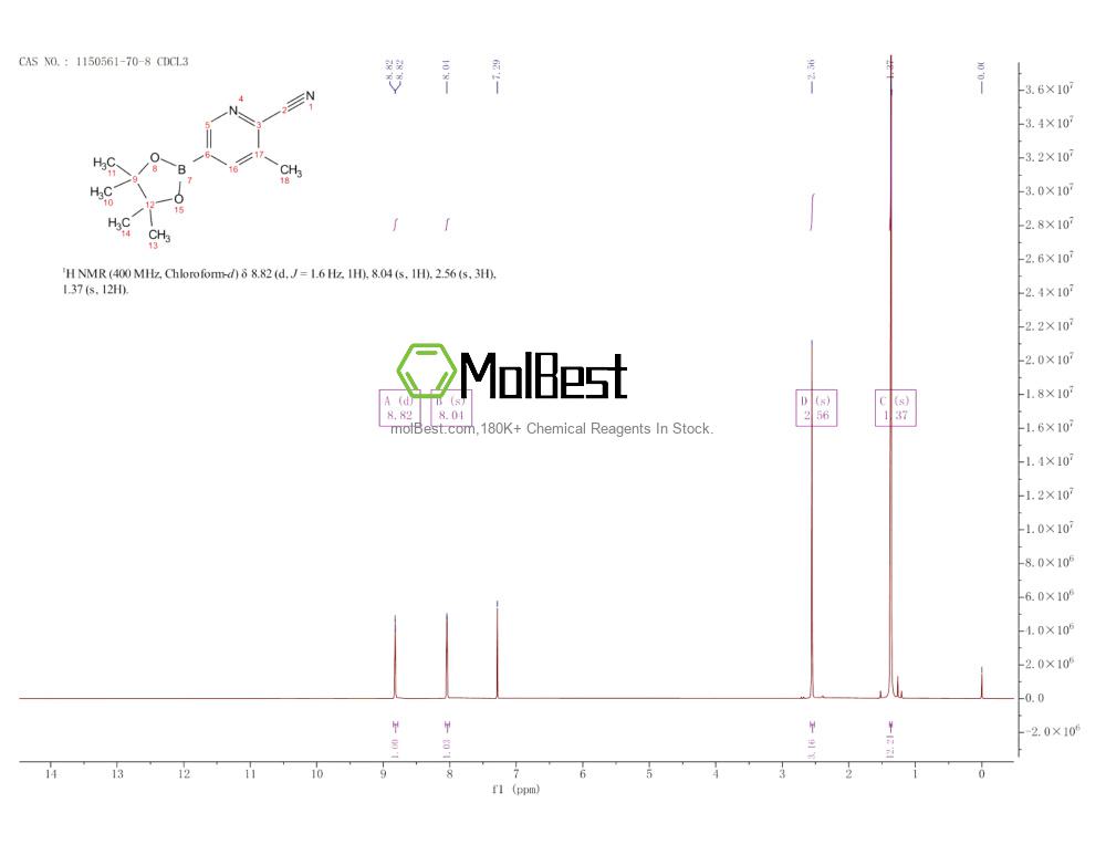 Physical sample testing spectrum (NMR) of 1150561-70-8