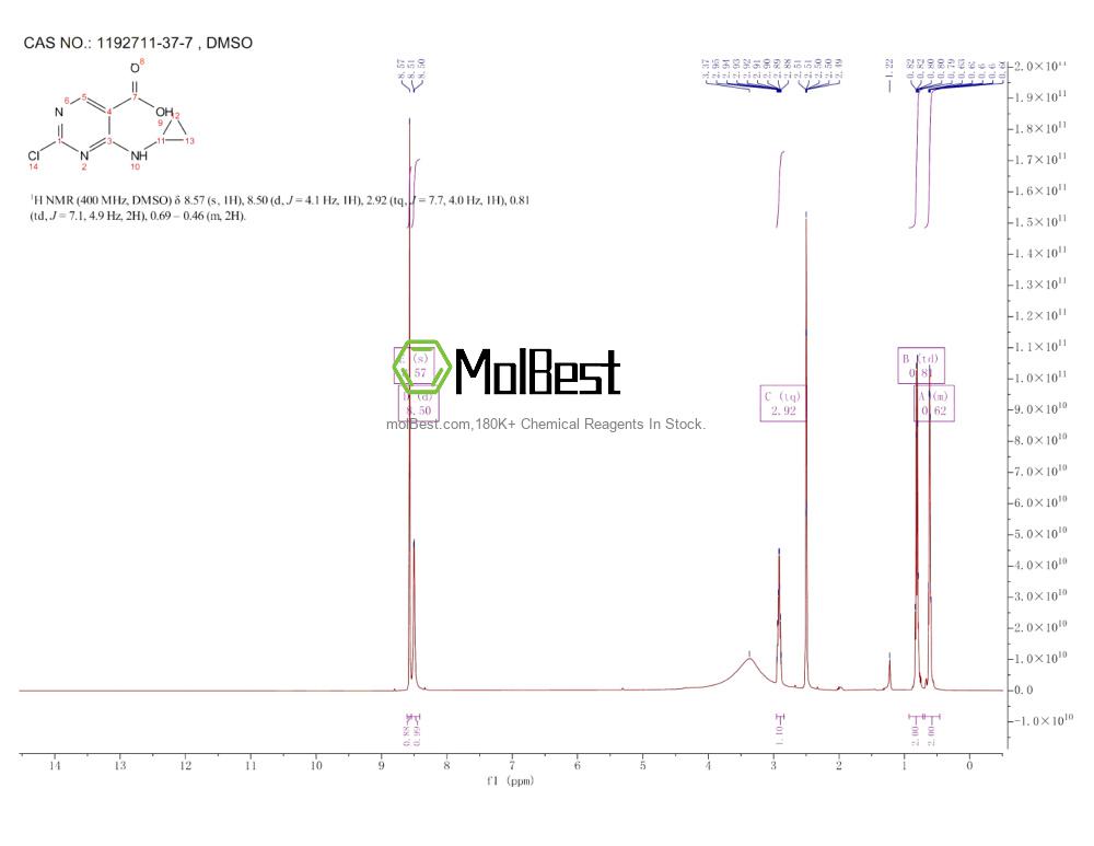 Physical sample testing spectrum (NMR) of 1192711-37-7