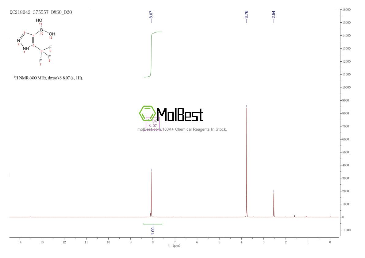 Physical sample testing spectrum (NMR) of 1202054-12-3
