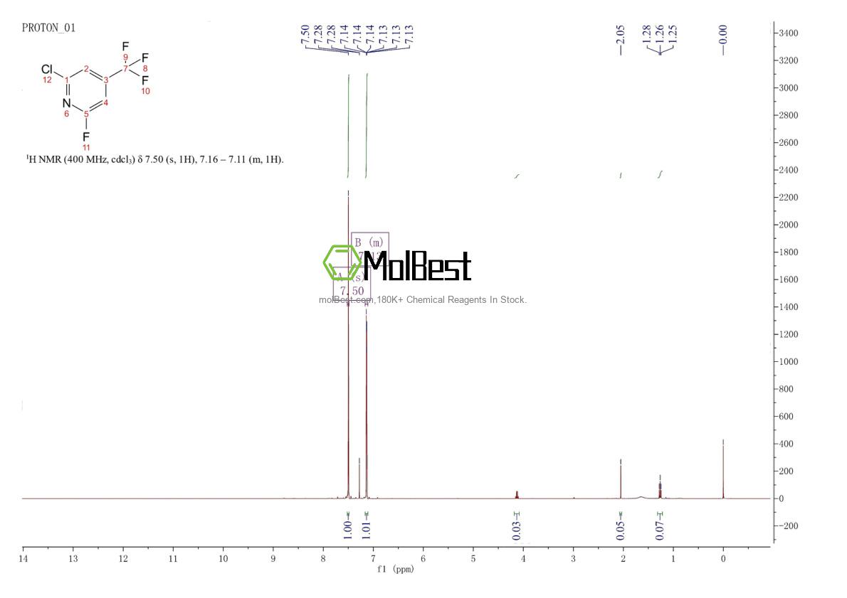 Physical sample testing spectrum (NMR) of 1207665-87-9