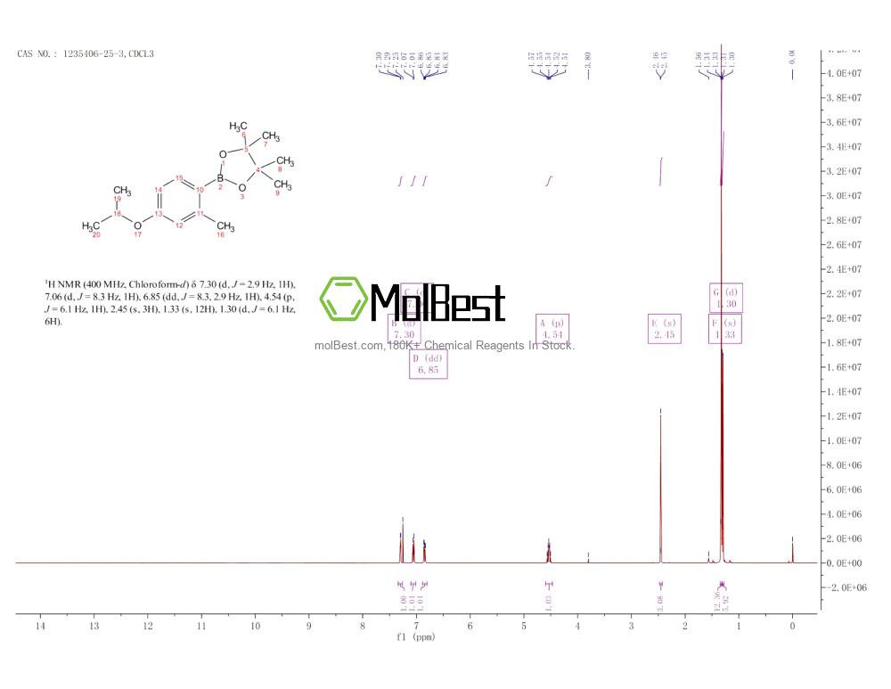 Physical sample testing spectrum (NMR) of 1235406-25-3