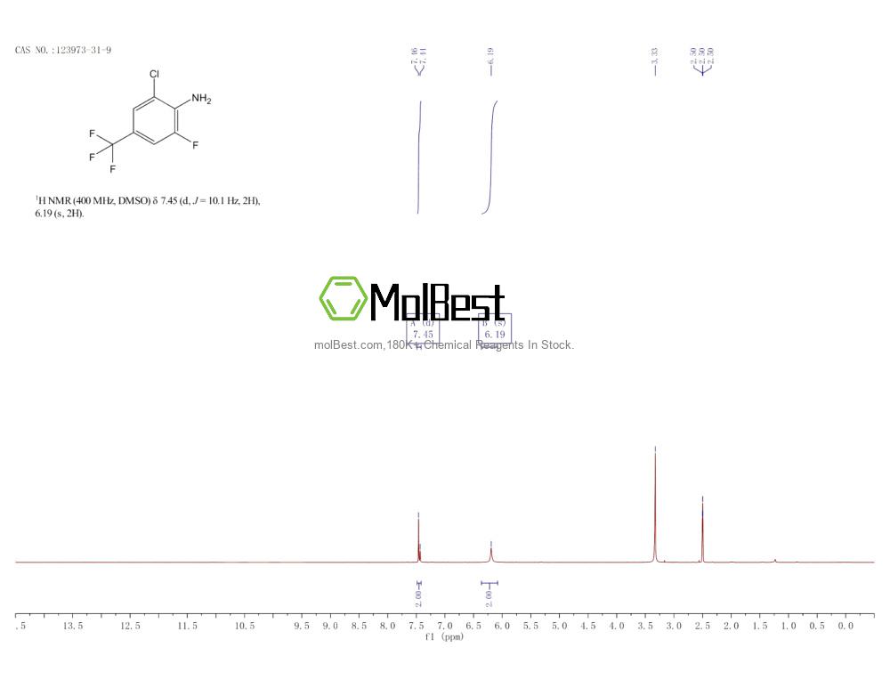 Physical sample testing spectrum (NMR) of 123973-31-9