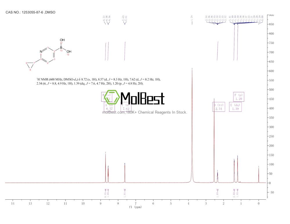 Physical sample testing spectrum (NMR) of 1253055-87-6