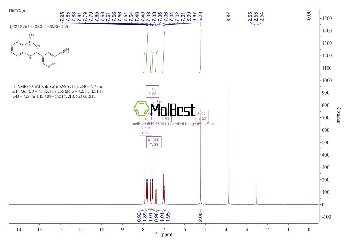 Physical sample testing spectrum (NMR) of 1256355-67-5