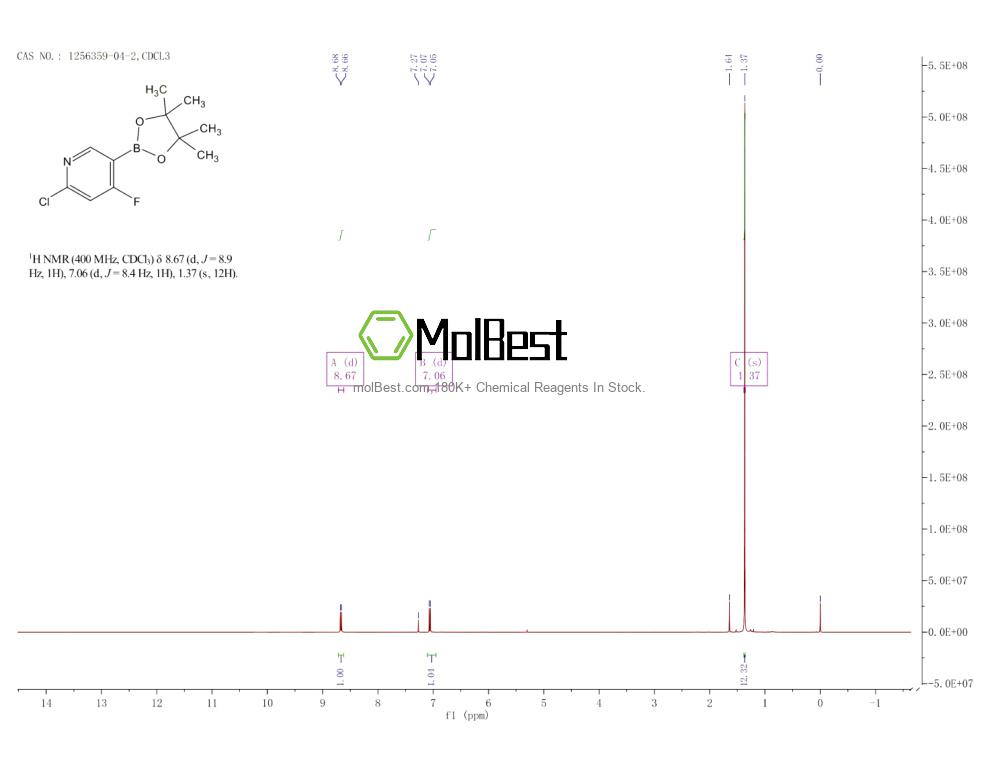 Physical sample testing spectrum (NMR) of 1256359-04-2
