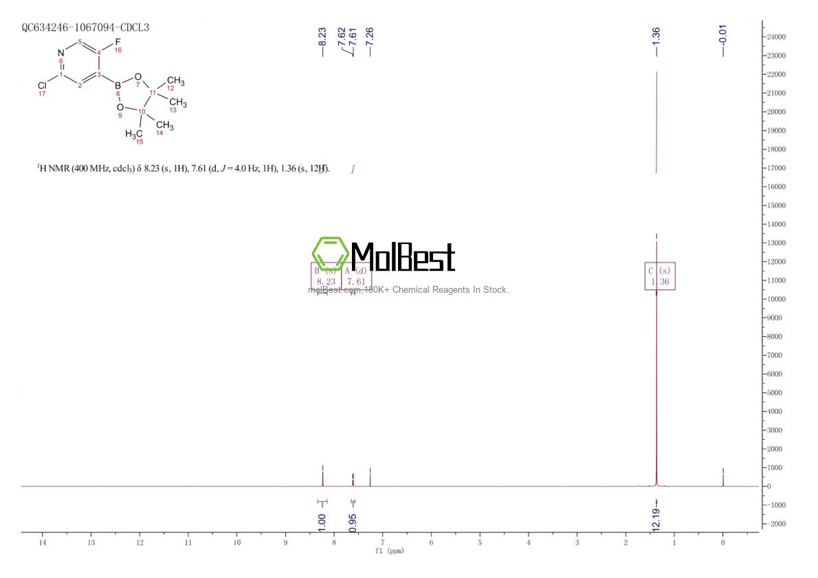 Physical sample testing spectrum (NMR) of 1256360-62-9