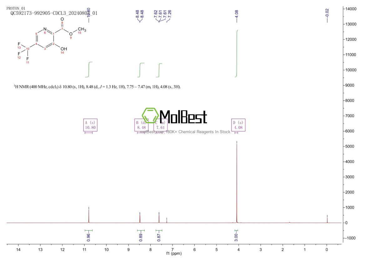 Physical sample testing spectrum (NMR) of 1256810-01-1
