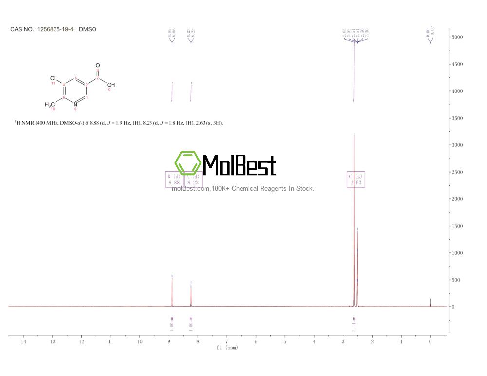 Physical sample testing spectrum (NMR) of 1256835-19-4