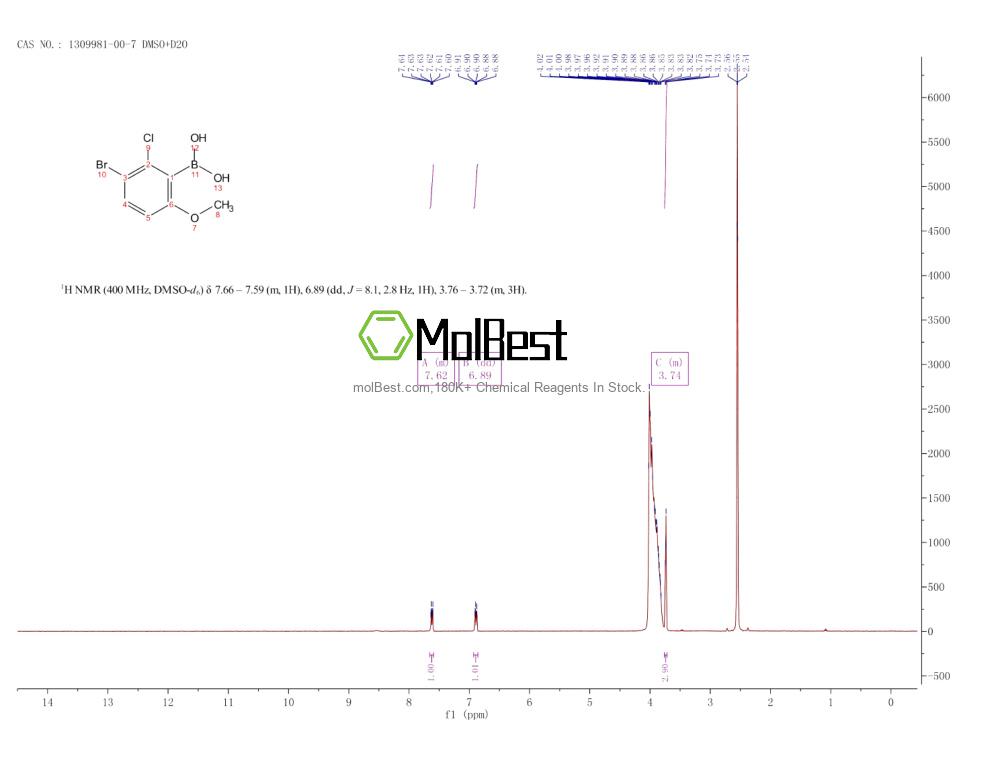 Physical sample testing spectrum (NMR) of 1309981-00-7