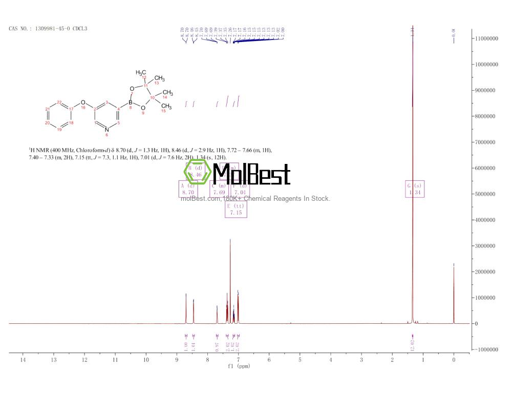 Physical sample testing spectrum (NMR) of 1309981-45-0