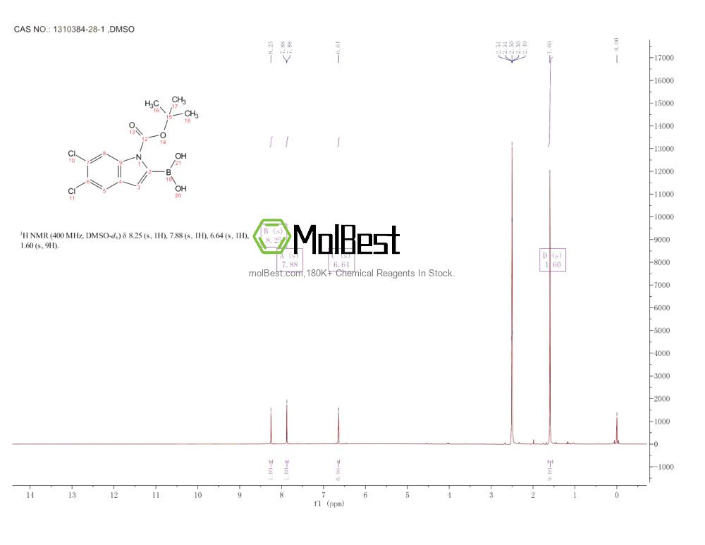 Physical sample testing spectrum (NMR) of 1310384-28-1