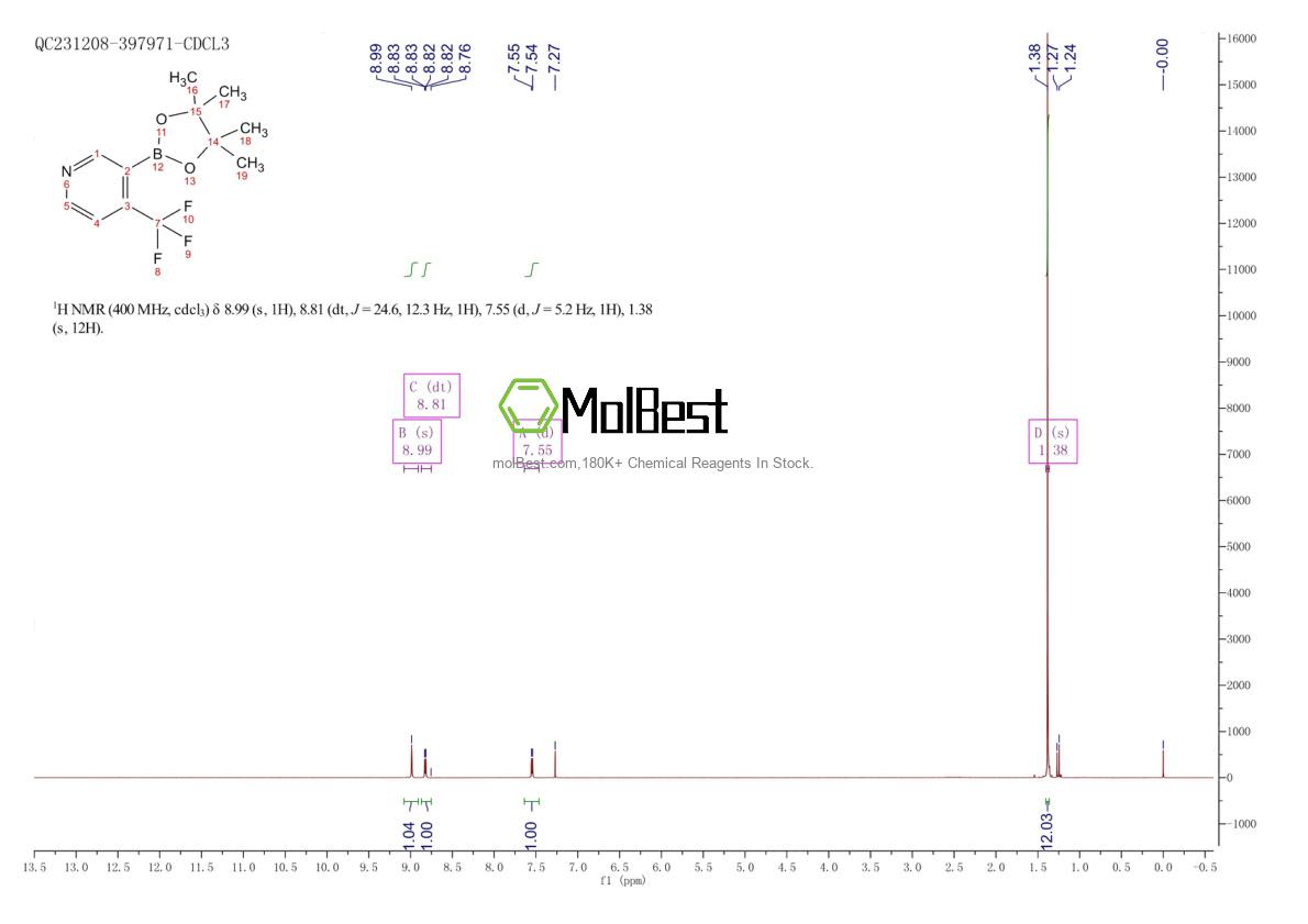 Physical sample testing spectrum (NMR) of 1310405-06-1