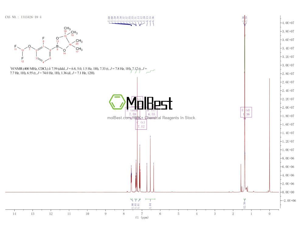 Physical sample testing spectrum (NMR) of 1313426-18-4