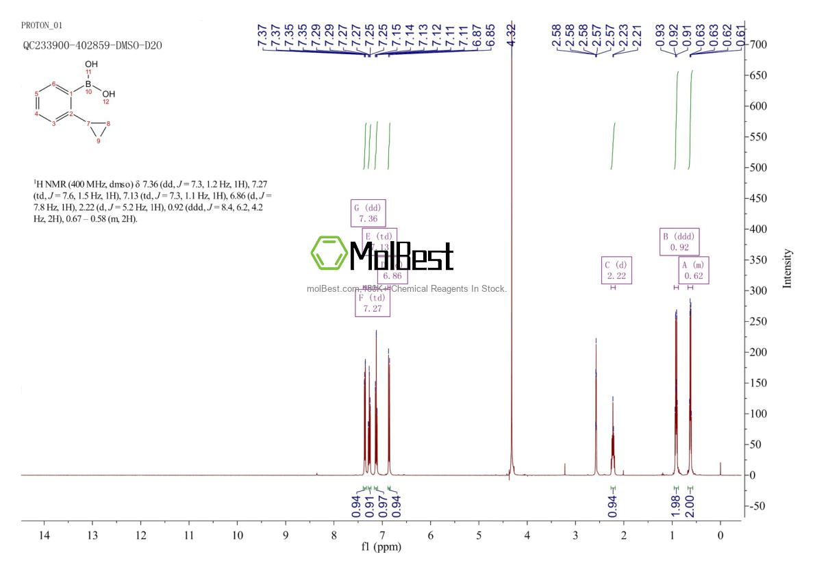 Physical sample testing spectrum (NMR) of 1373393-41-9