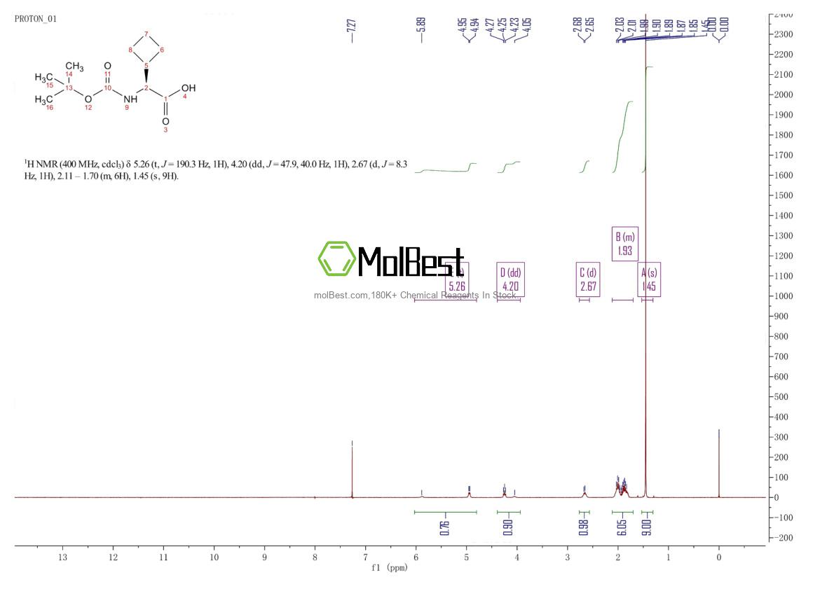 Physical sample testing spectrum (NMR) of 155905-77-4