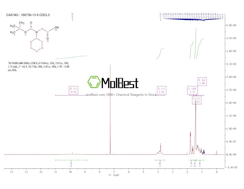Physical sample testing spectrum (NMR) of 166739-13-5