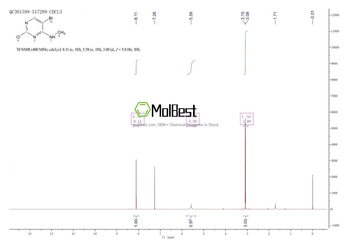 Physical sample testing spectrum (NMR) of 205672-24-8