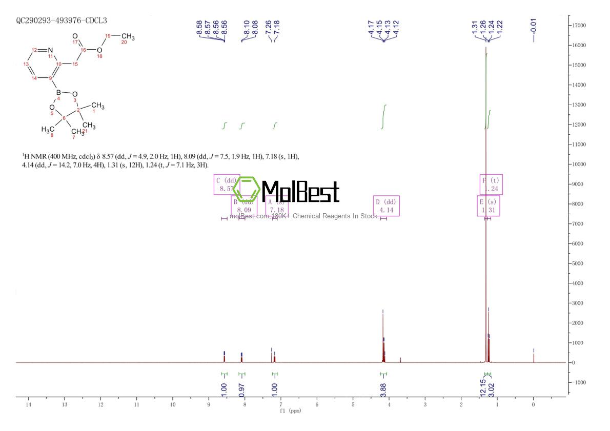 Physical sample testing spectrum (NMR) of 2828447-07-8