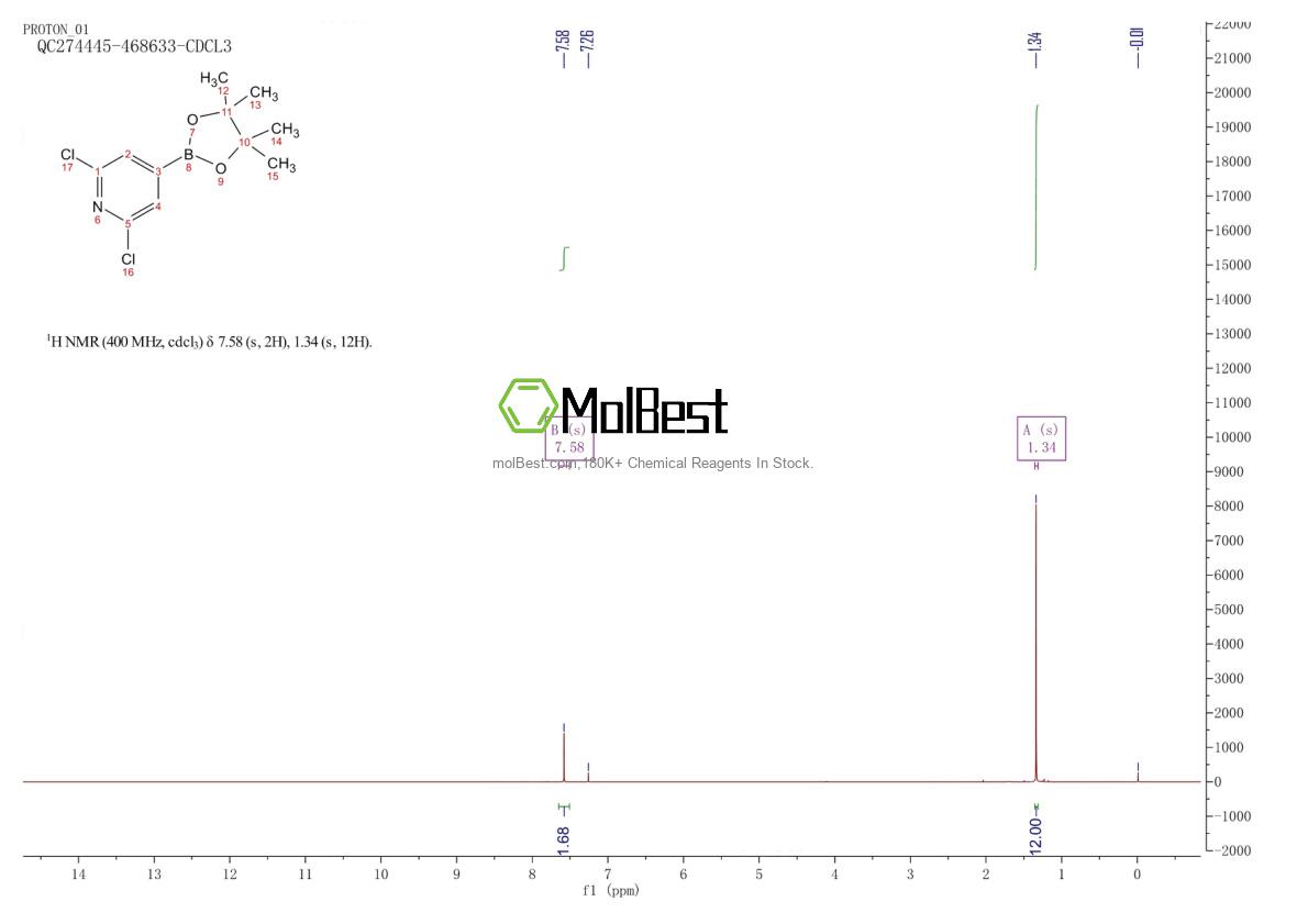 Physical sample testing spectrum (NMR) of 408492-27-3