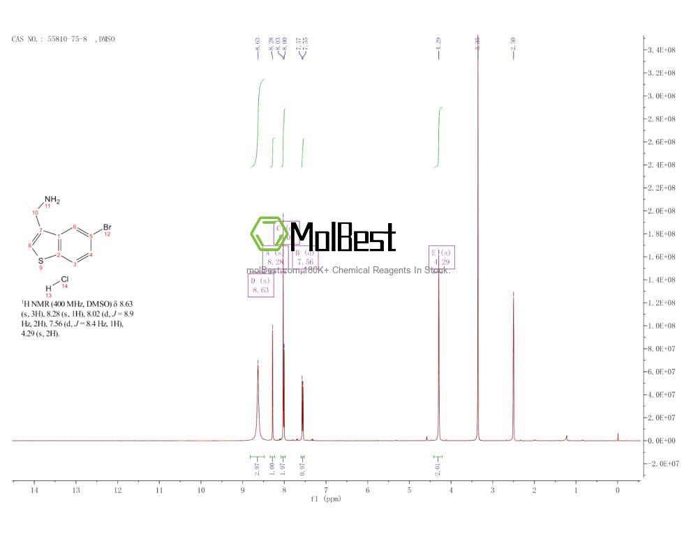 Physical sample testing spectrum (NMR) of 55810-75-8