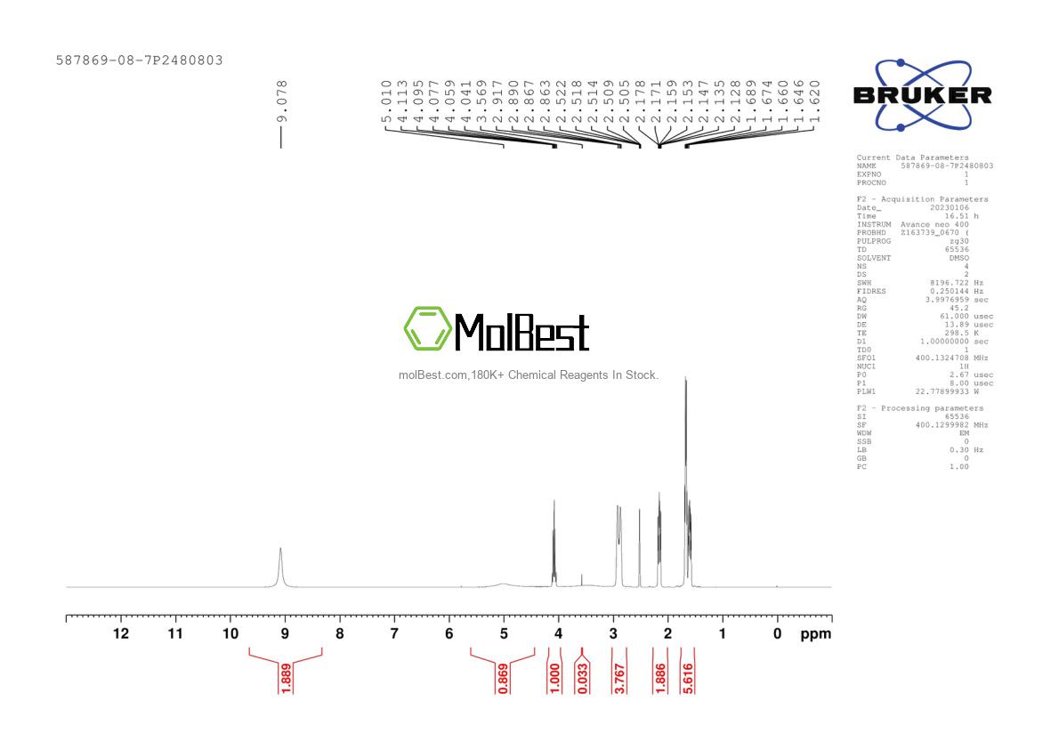 Physical sample testing spectrum (NMR) of 587869-08-7