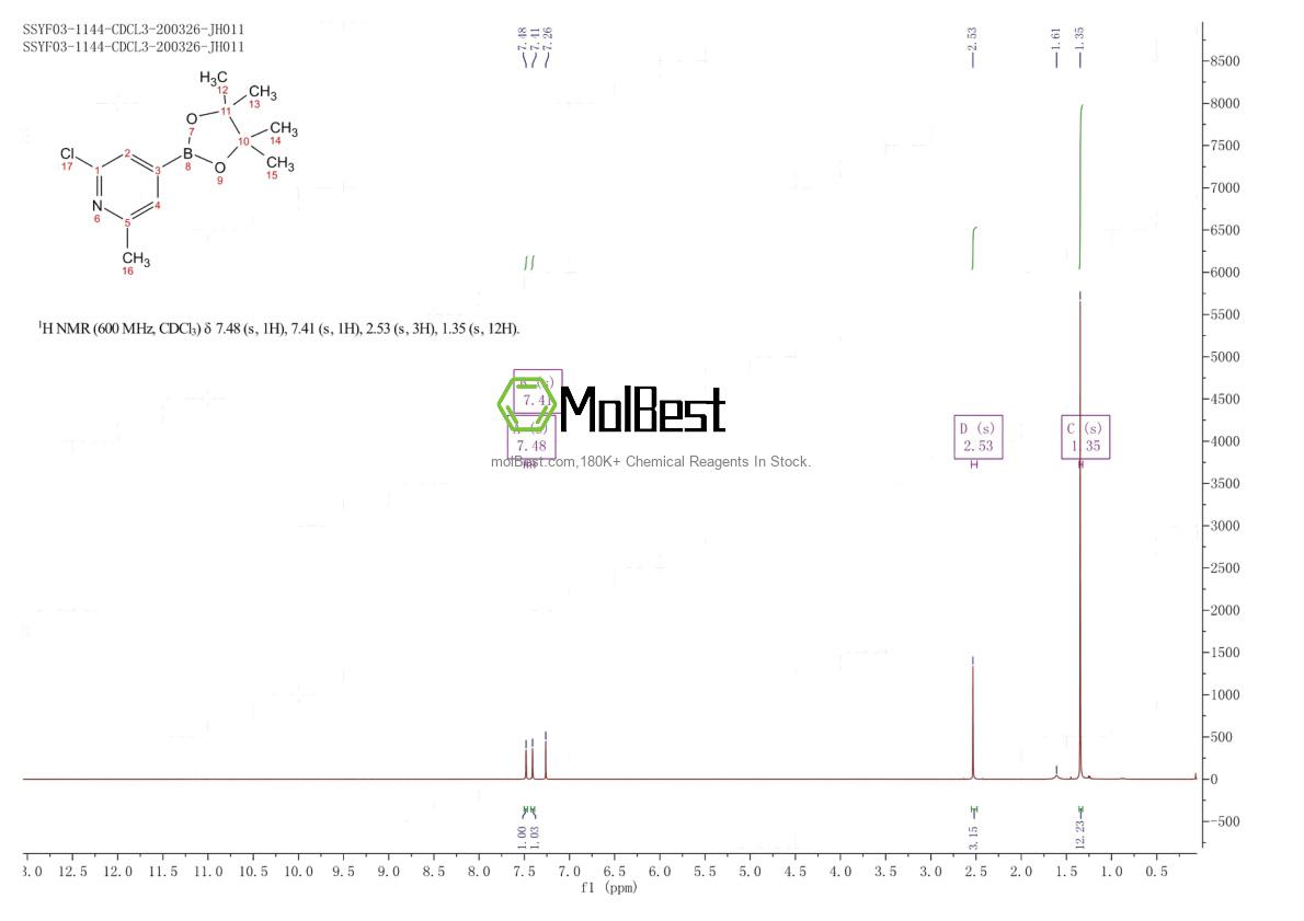 Physical sample testing spectrum (NMR) of 697739-22-3