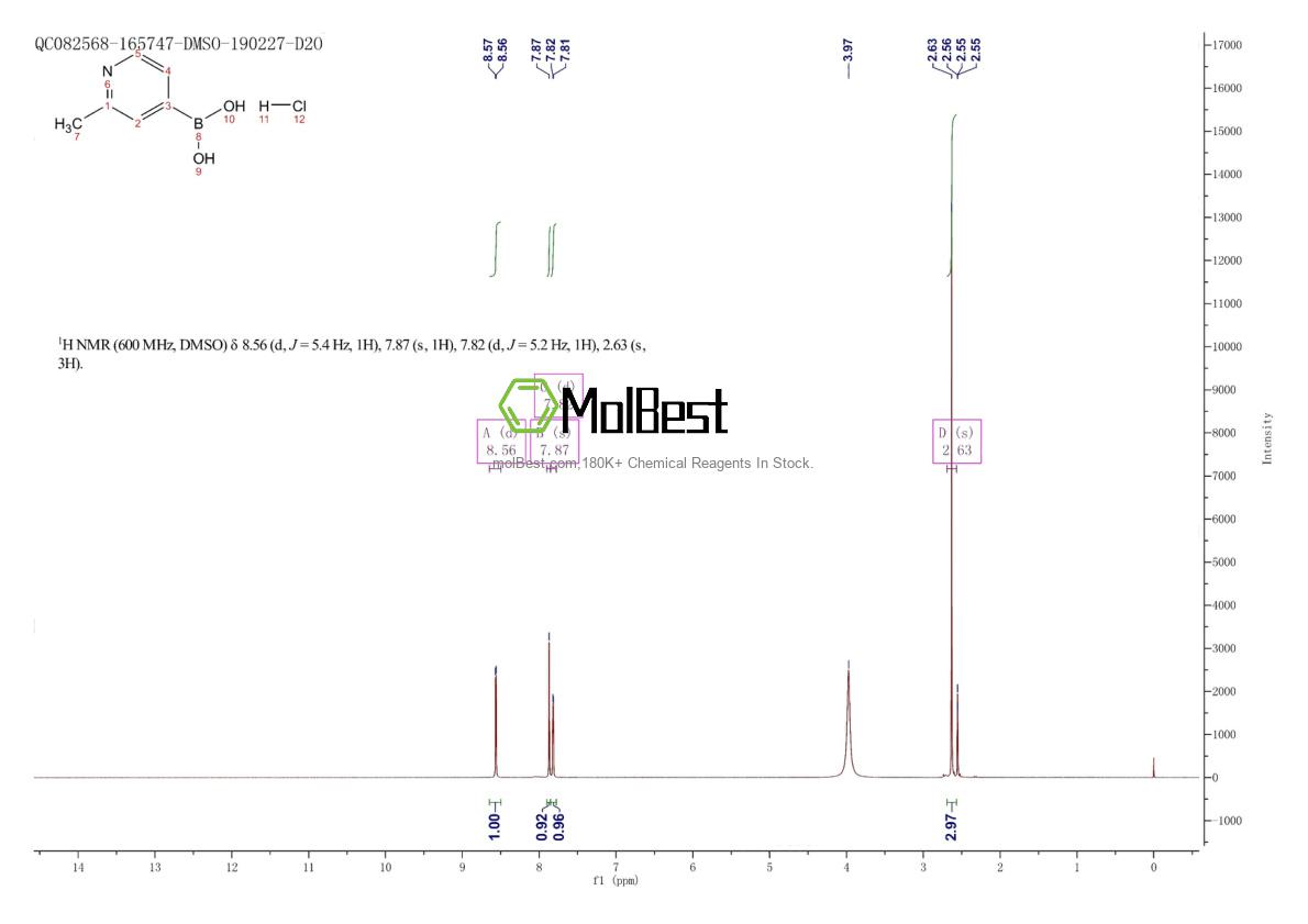 Spektrum pengujian sampel fisik (NMR) 861905-97-7