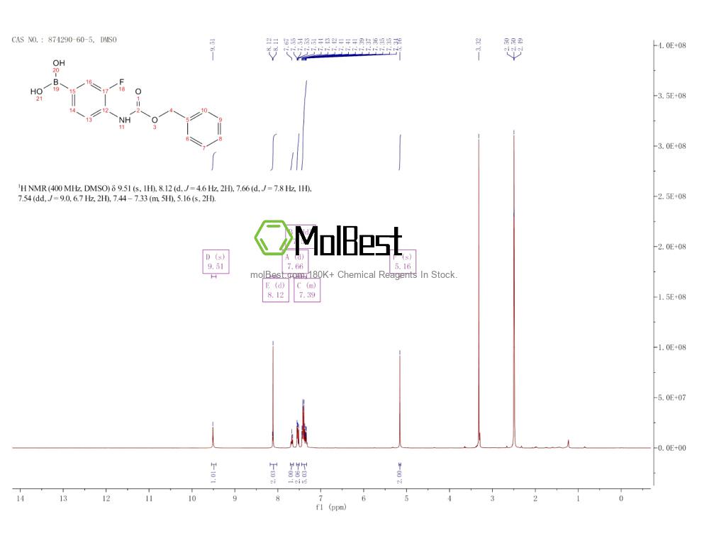 Physical sample testing spectrum (NMR) of 874290-60-5