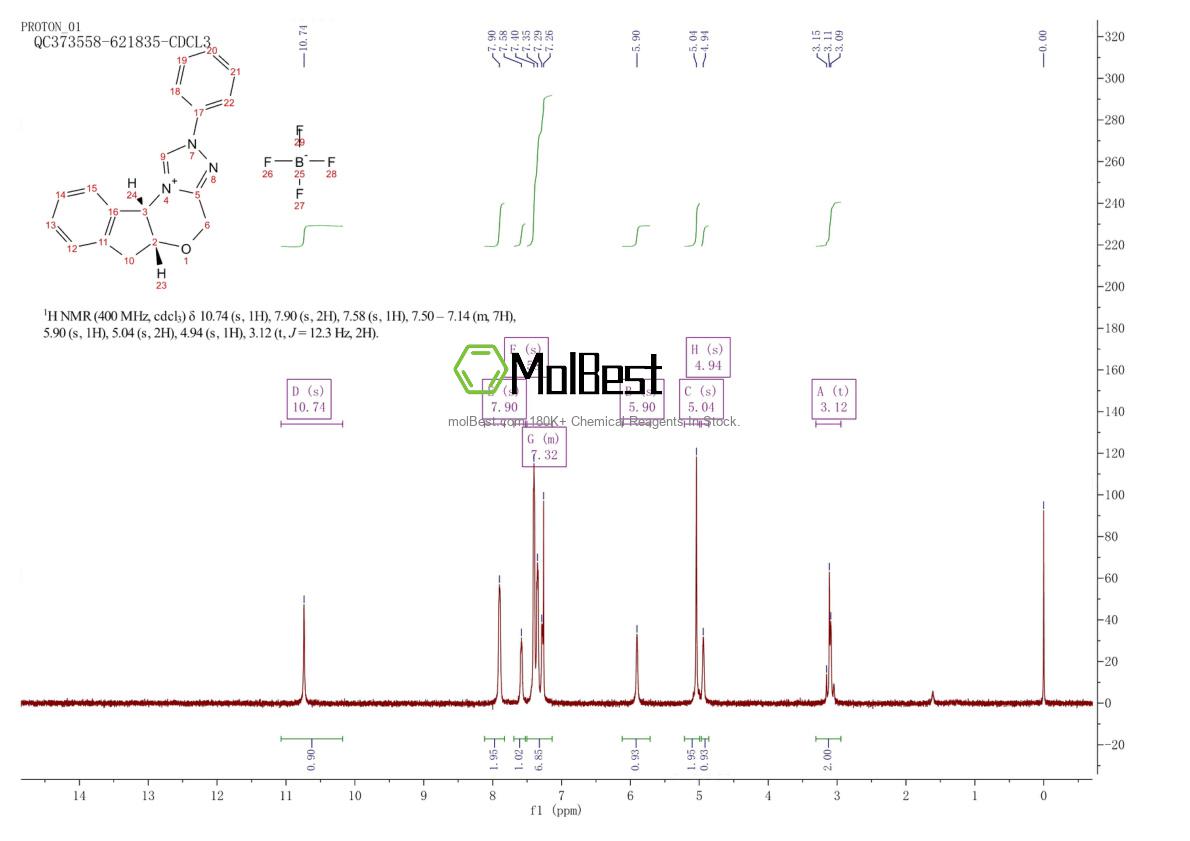 Physical sample testing spectrum (NMR) of 925706-36-1