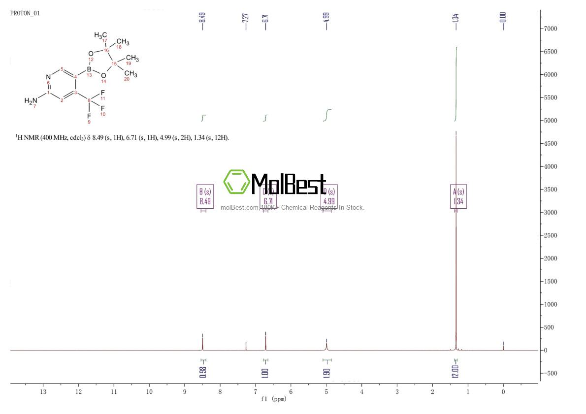 Physical sample testing spectrum (NMR) of 944401-57-4